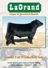 Annual Fall Production Sale